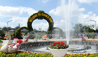 Tour Quy Nhơn - Đà lạt
