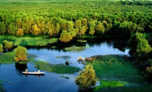 Tour Mỹ Tho - Bến Tre - Cần Thơ - Châu Đốc