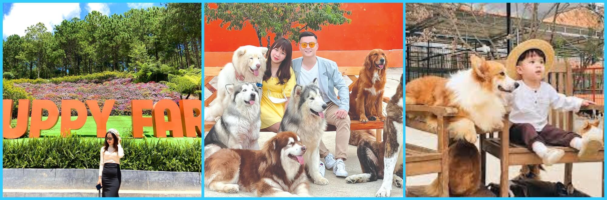 Tour Quy Nhơn - Đà lạt