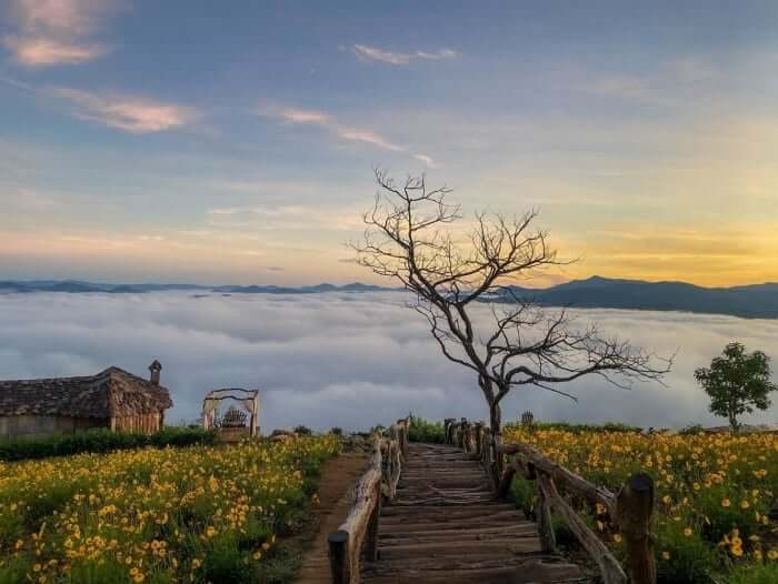 Tour Quy Nhơn - Đà lạt