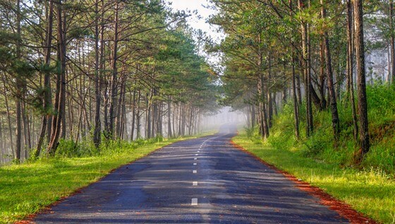 Tour Quy Nhơn - Đà lạt