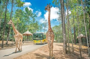 Tour Quy Nhơn - Phú Quốc