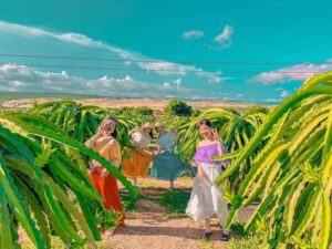 Tour Mũi Né - Vũng Tàu