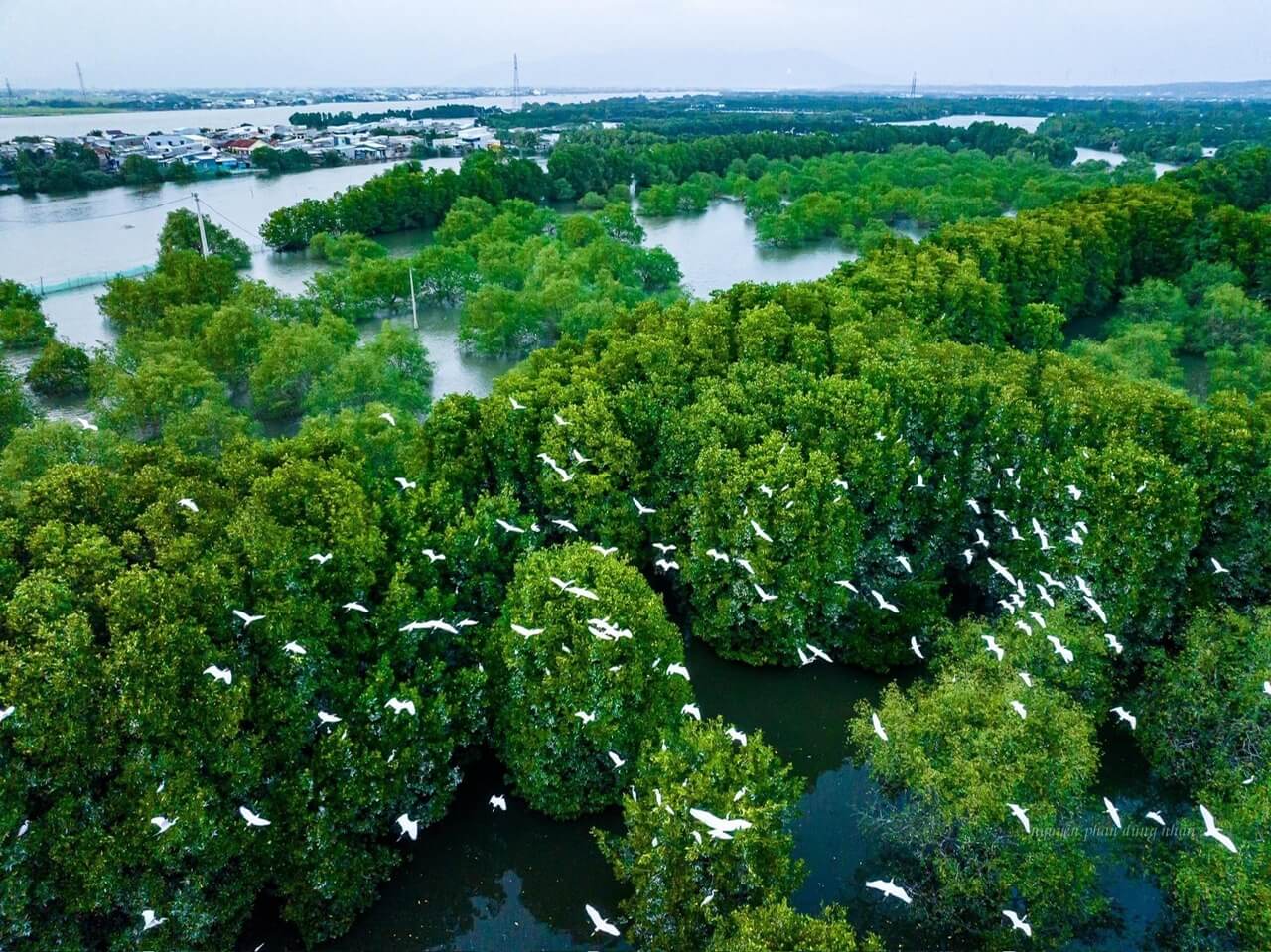 Du lịch Quy Nhơn tự túc