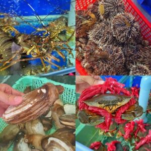 Nhà hàng hải sản tại Nhơn Lý