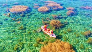 Tour Hòn Khô nửa ngày đón tại Nhơn Hải
