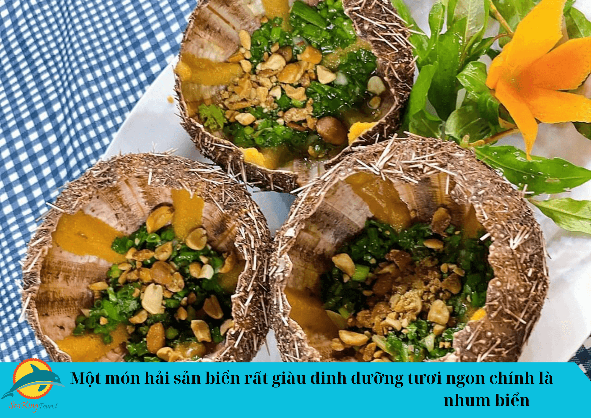  du lịch Quy Nhơn 1 ngày