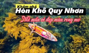 Hòn khô Quy Nhơn